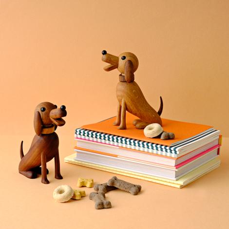 Hundene Bella og Buster fra Lucie Kaas