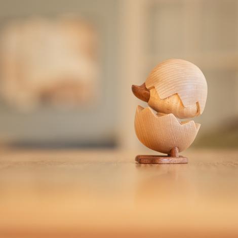 H.C.Andersen, Den Grimme Ælling