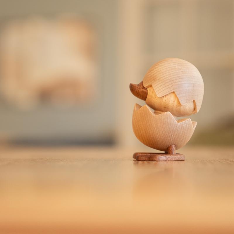 H.C.Andersen, Den Grimme Ælling