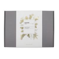 Adventskalender 2025, Box, 4 pakker fra Meraki